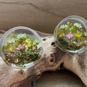 May include: Two clear, round resin plugs, each containing a miniature floral arrangement. The plugs display a mix of green, yellow, and pink flowers, moss, and foliage. They are set against a natural wood background.
