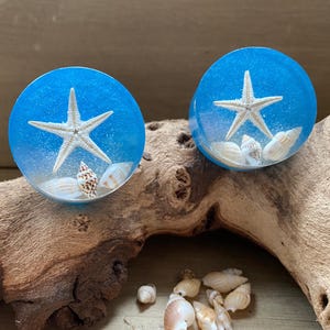 May include: Two round, blue resin plugs with a starfish and seashells encased inside. The plugs are set on a piece of driftwood, with additional seashells scattered around. The plugs are a beach-themed accessory.