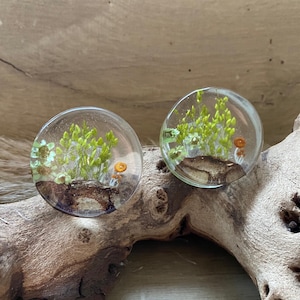 May include: Two clear resin cabochons containing a small piece of preserved greenery and a tiny orange flower. The cabochons are resting on a piece of driftwood.