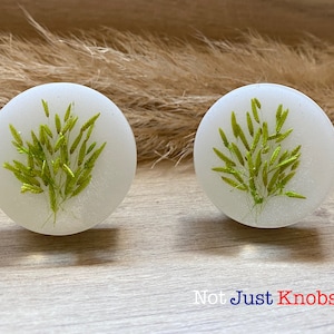 May include: Two white round knobs with green pressed grass designs. The knobs are on a light brown wooden surface.
