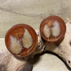 May include: Two round, orange resin plugs with embedded dried white pampas grass.