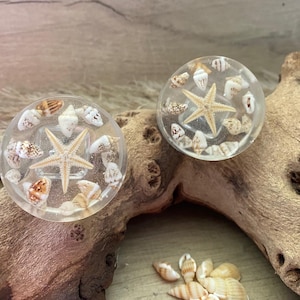 May include: Two clear, round decorative objects with embedded seashells and starfish. The objects are set on a piece of driftwood. The seashells are various sizes and colours, and the starfish are beige. The objects are likely decorative plugs or knobs.