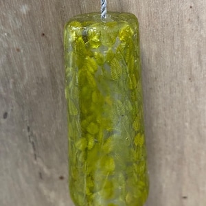 May include: A cylindrical pendant made of clear resin with embedded green foliage, suspended from a thin, twisted silver-coloured cord. The translucent material reveals the detailed texture of the preserved leaves inside the smooth, glossy object.