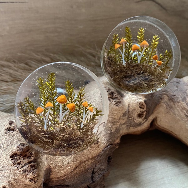 Drawer knobs pair, woodland mushroom themed, ideal for nature inspired rooms