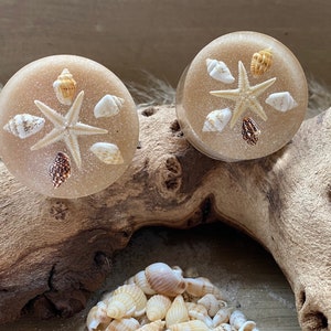 May include: Two round, beige resin ornaments with embedded seashells and a starfish. The ornaments are sitting on a piece of driftwood.