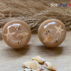 May include: Two round, beige resin cabinet knobs with embedded seashells and starfish. The knobs are on a light brown wooden surface. "Not Just Knobs" is written in red and blue text on a beige background.