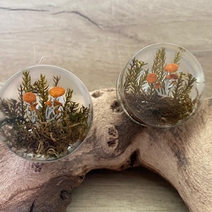 May include: Two clear, round ornaments each containing miniature orange mushrooms, green plants, and brown moss. The ornaments are displayed on a piece of driftwood, creating a natural, earthy aesthetic. The ornaments are suspended by a thin, clear string.