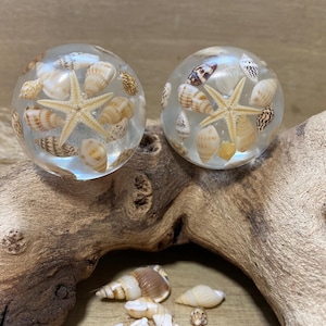 Handmade drawer knobs pair, seashell design, ideal for ocean style, beach styled homes