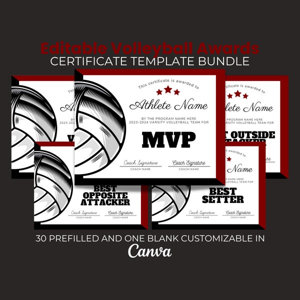 Funny Volleyball Awards Certificates Etsy