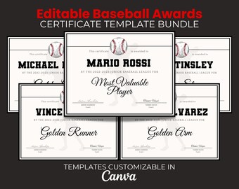 Editable Baseball Award Certificate Bundle, Team Party  Template Bundle, Printable, End of Season Baseball Awards, T-Ball Participation
