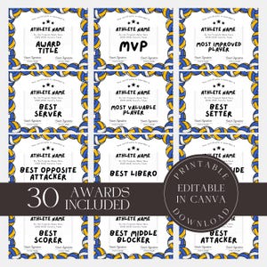 Editable Volleyball Awards Bundle Volleyball Certificates Printable Team Party Certificates Volleyball Participation Blue