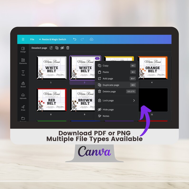 Martial Arts Belt Certificate Template, DIY Karate Participation Award