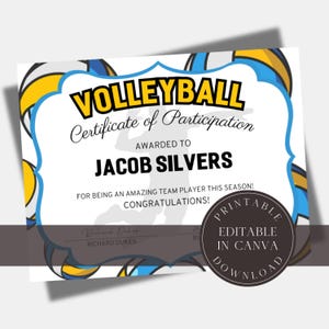 Editable Volleyball Awards Volleyball Award Certificate Team Party Printable Certificate Volleyball Participation Award