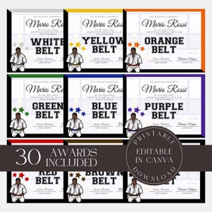 Editable Martial Arts Belt Certificate Template DIY Karate Participation Award Printable Aikido Gift Personalized Award Sports Award