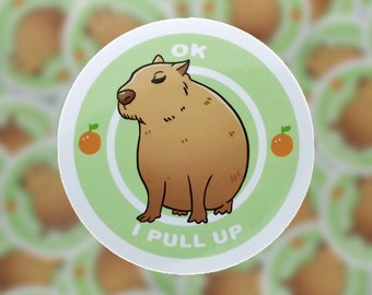 Capybara Stickers, Funny stickers, Meme stickers, Capybara Meme, Cute Animal decal, Waterbottle stickers, Laptop stickers, hydroflask Vinyl