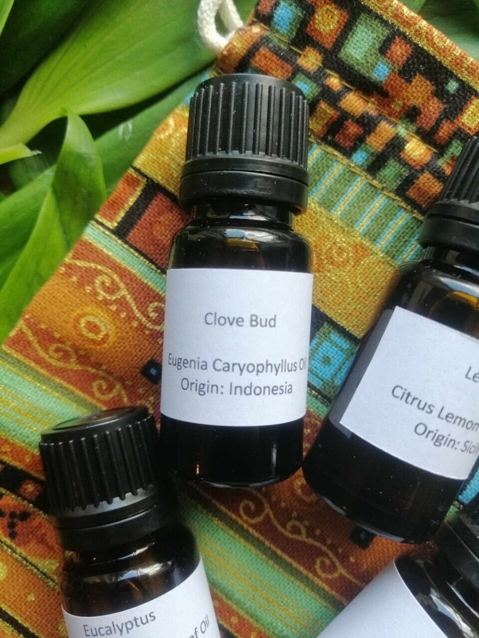 Smell Training Kit Aromatherapy Pack 4 x 10ml Essential Oils Etsy