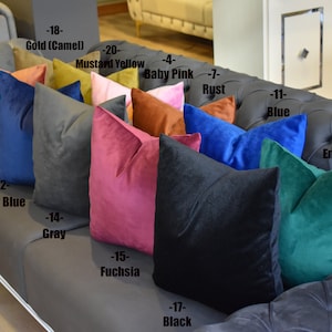 Soft Velvet Throw Pillow Cover,Luxury Velvet Cushion Cover,Living Room and Bedroom Pillow Cover,Any Size and Any Color Velvet Pillow Cover,Sofa and Couch Velvet Pillow Cover,Velvet Lumbar Throw Pillow Cover
