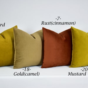 Any SİZE Any COLOR Velvet Pillows/Velvet Throw Pillow/Couches and Sofa Pillows/Soft Velvet Pillows/Living Room Pillows/Velvet Cushion Cover image 9