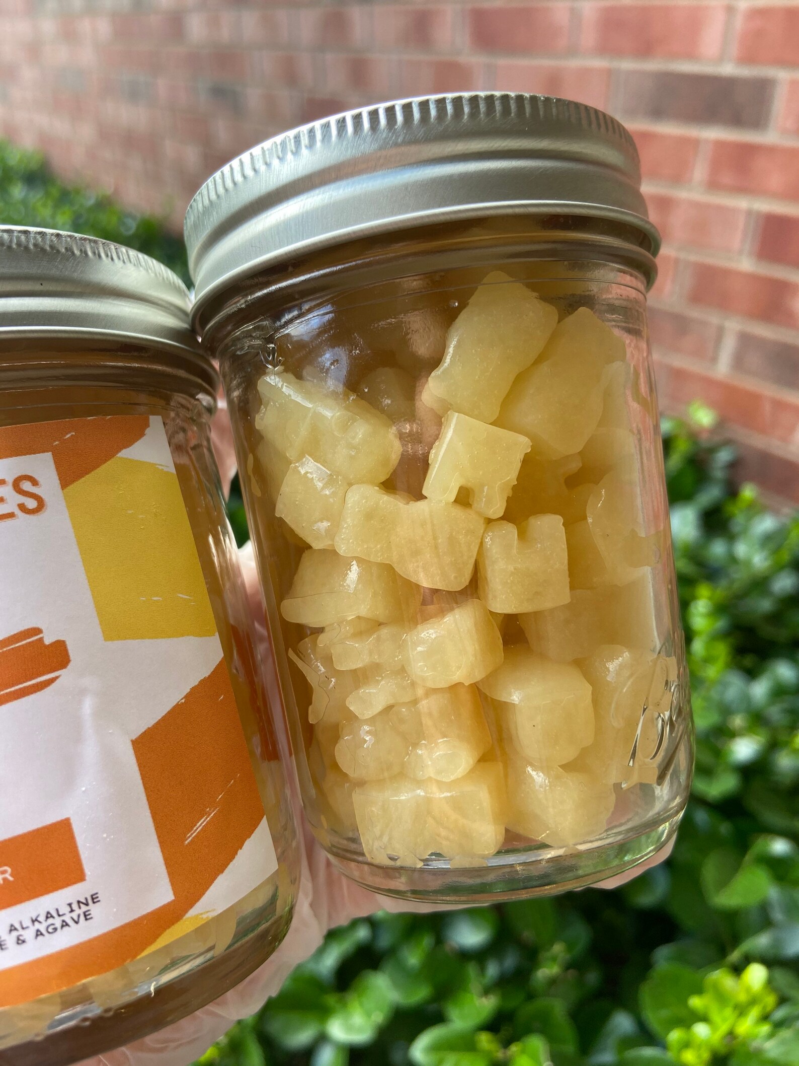 100 Seamoss Gummies for Kids Pineapple Coconut Flavor Etsy