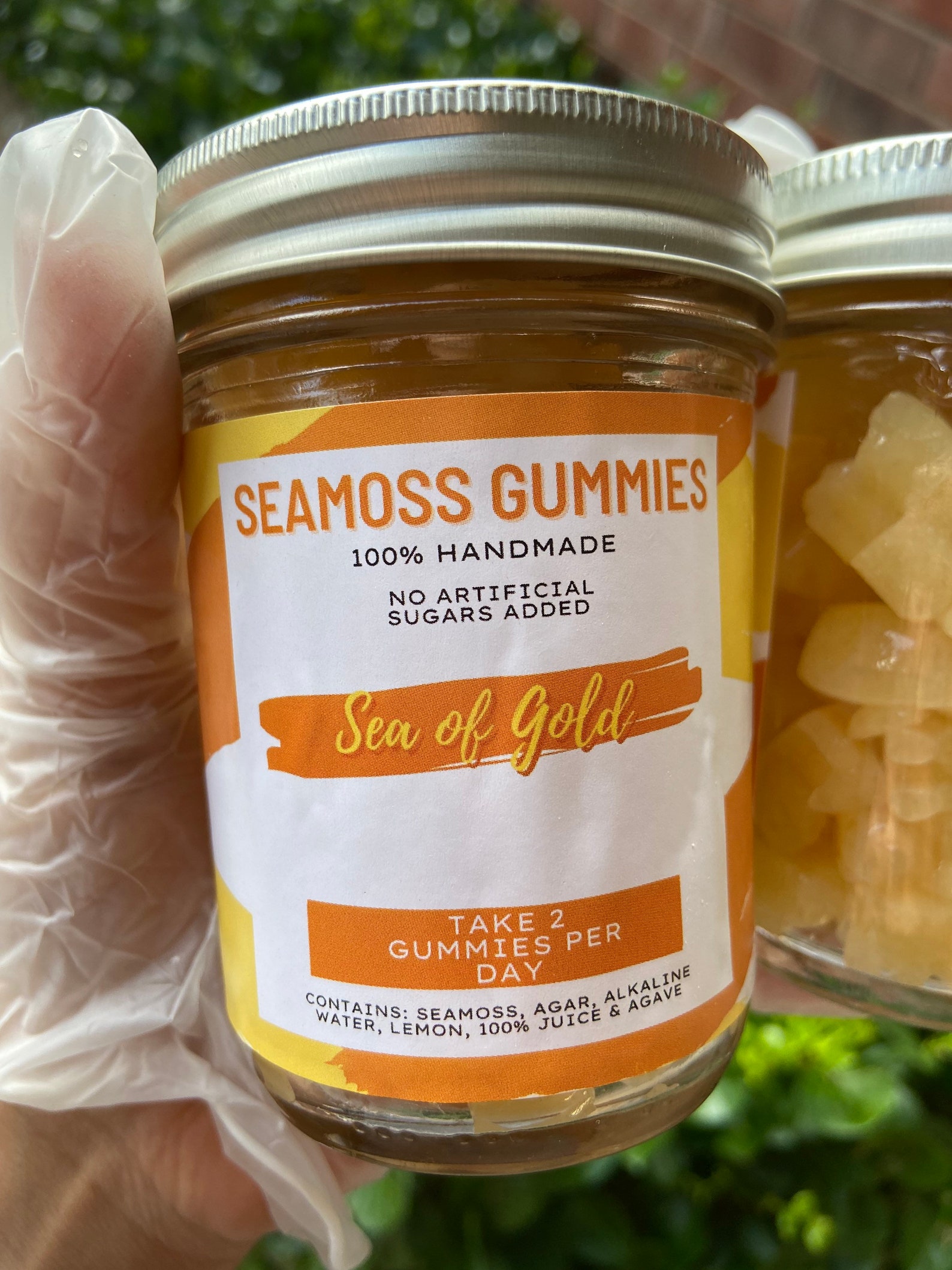 100 Seamoss Gummies for Kids Pineapple Coconut Flavor Etsy