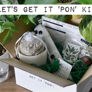 Pon Semi-Hydroponics Starter Kit | Plant Accessories | Hoya | Repotting | Propagating | Transplanting