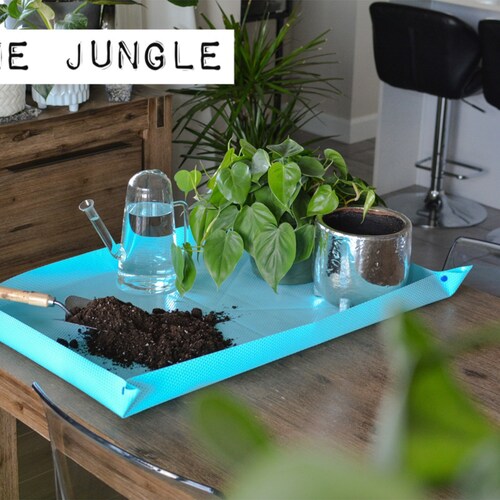 Gardening plant potting mat in Jungle | Planter | Hoya | Repotting | Propagating | Transplanting