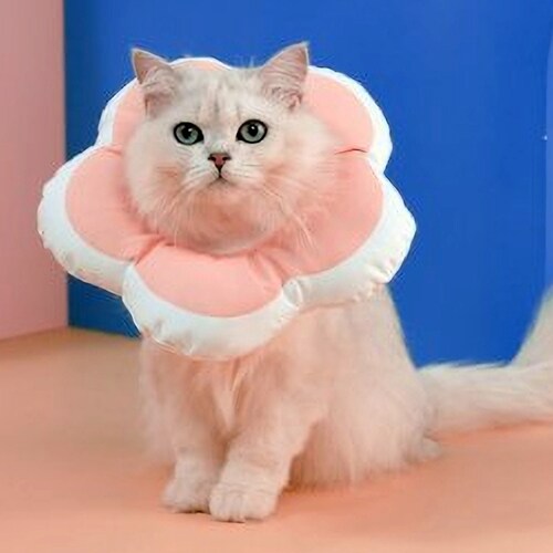 Rainbow Flower Recovery Collar/ecollar/ Elizabethan Collar Etsy