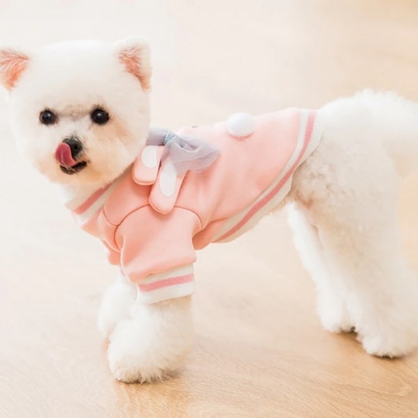 Designer Dog Clothes - Etsy