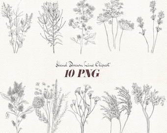 Imágenes prediseñadas PNG de flores silvestres en línea, dibujo floral lineal dibujado a mano, imágenes prediseñadas botánicas, ilustración floral minimalista, gráficos para invitaciones de boda.