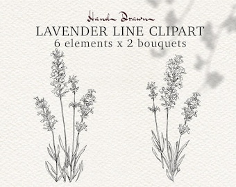 Boho Lavender Clipart Line Art, Botanical Herb Illustration PNG, Hand Drawn Floral Outline, MinimalFlowerClipartfor LogoWeddingCommercialUse