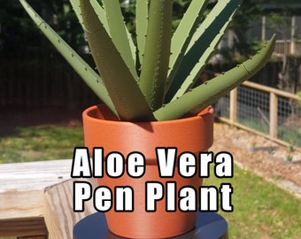 Aloe Vera Pen Plant