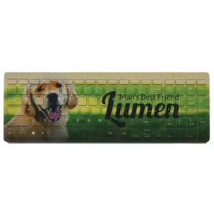 May include: A keyboard cover with a golden retriever dog image. The text "Man's Best Friend Lumen" is printed on the keyboard cover.