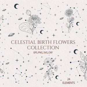 Fleurs pour mois de naissance céleste dessinées à la main | Boho PNGS | PNG mystiques | Téléchargement instantané | Citations PNG | Sarcasme PNGS | xCréations nomadesx