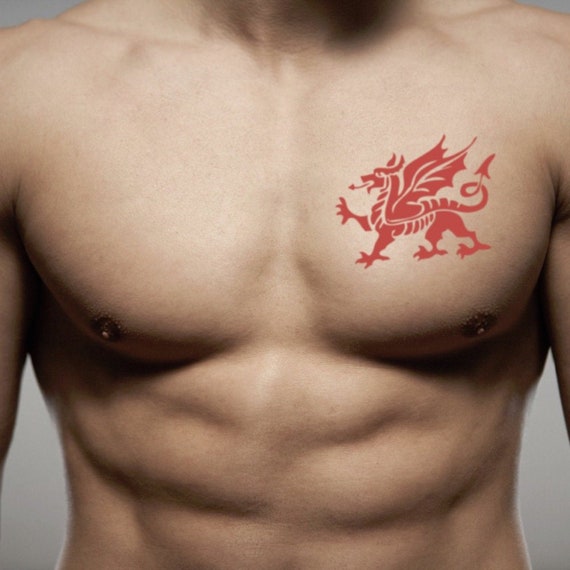 Welsh dragon and daffodills | Welsh tattoo, Dragon tattoo designs, Welsh  dragon