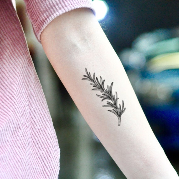 Rosemary tattoo located on the shin, engraving style.