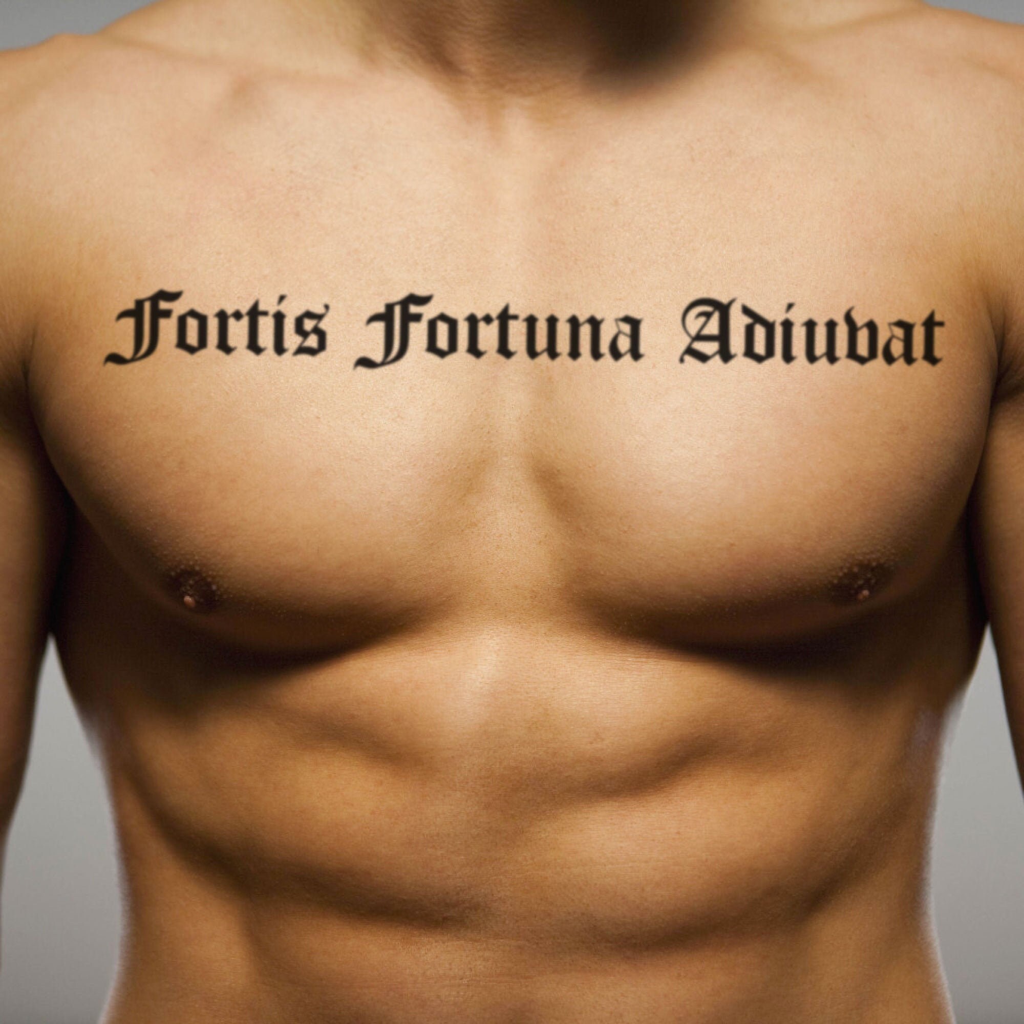 Fortis fortuna adiuvat meaning