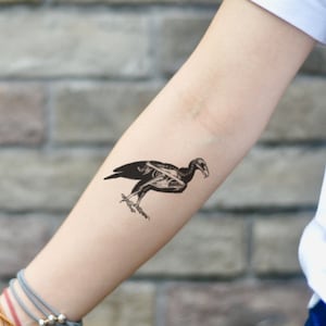 Peut inclure: Tatouage temporaire noir et blanc d'un vautour avec sa structure squelettique visible. Le tatouage est appliqué sur l'avant-bras, l'oiseau étant en position de marche. Le fond est un mur de briques gris clair.