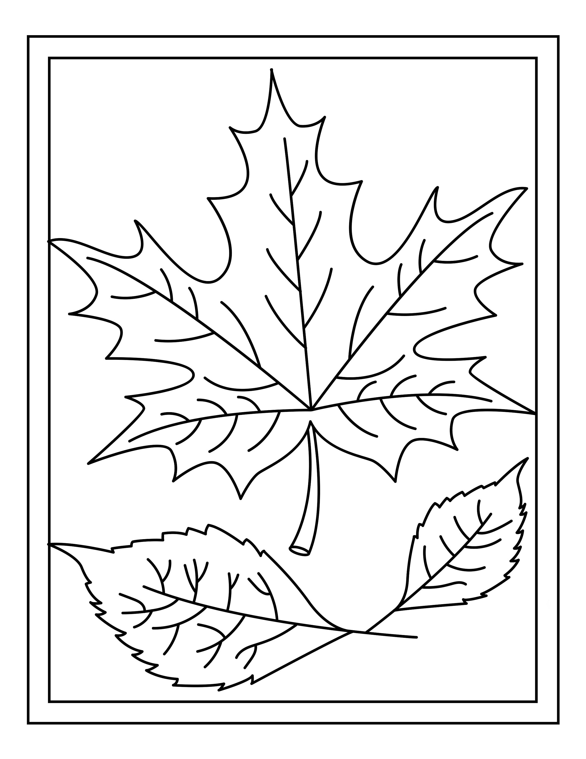 16 x Autumn & Spring Colouring Pages 8.5inch x 11inch premium | Etsy