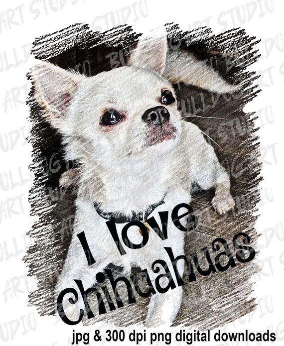 I Love Chihuahuas - Main Image
