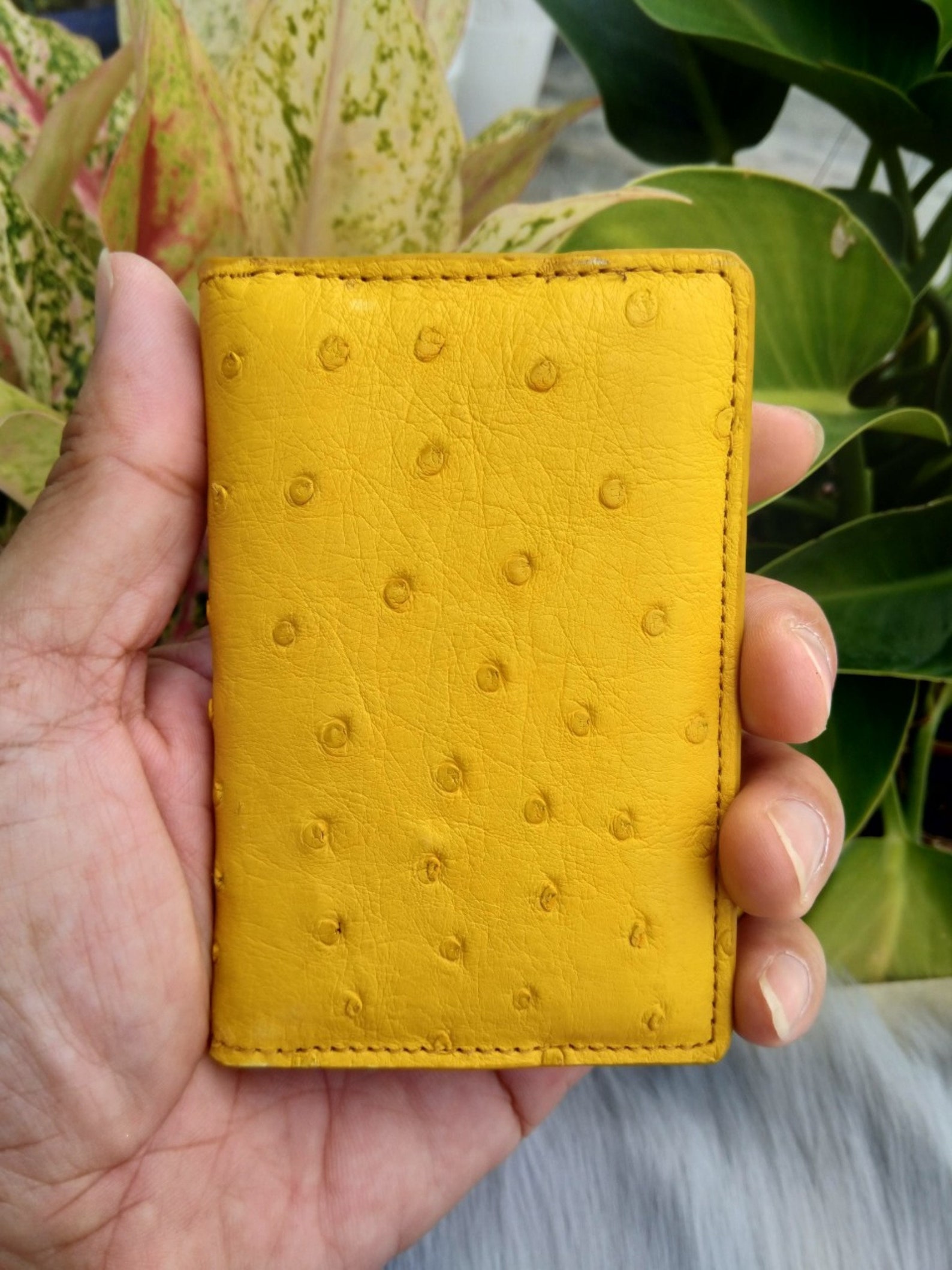 YELLOW Ostrich Genuine Leather Skin Credit Card Holder Etsy