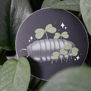 Isopod Aufkleber /rolly polly / Pill Bug