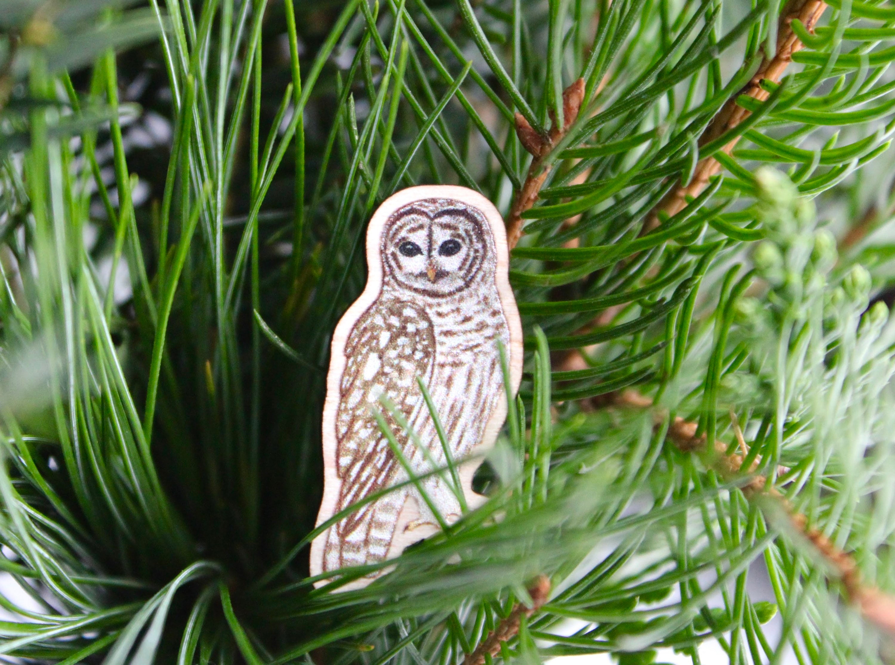 Wooden barred owl pin