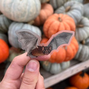 Bat clear vinyl sticker