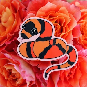 Cute derpy Honduran milk snake vinyl sticker