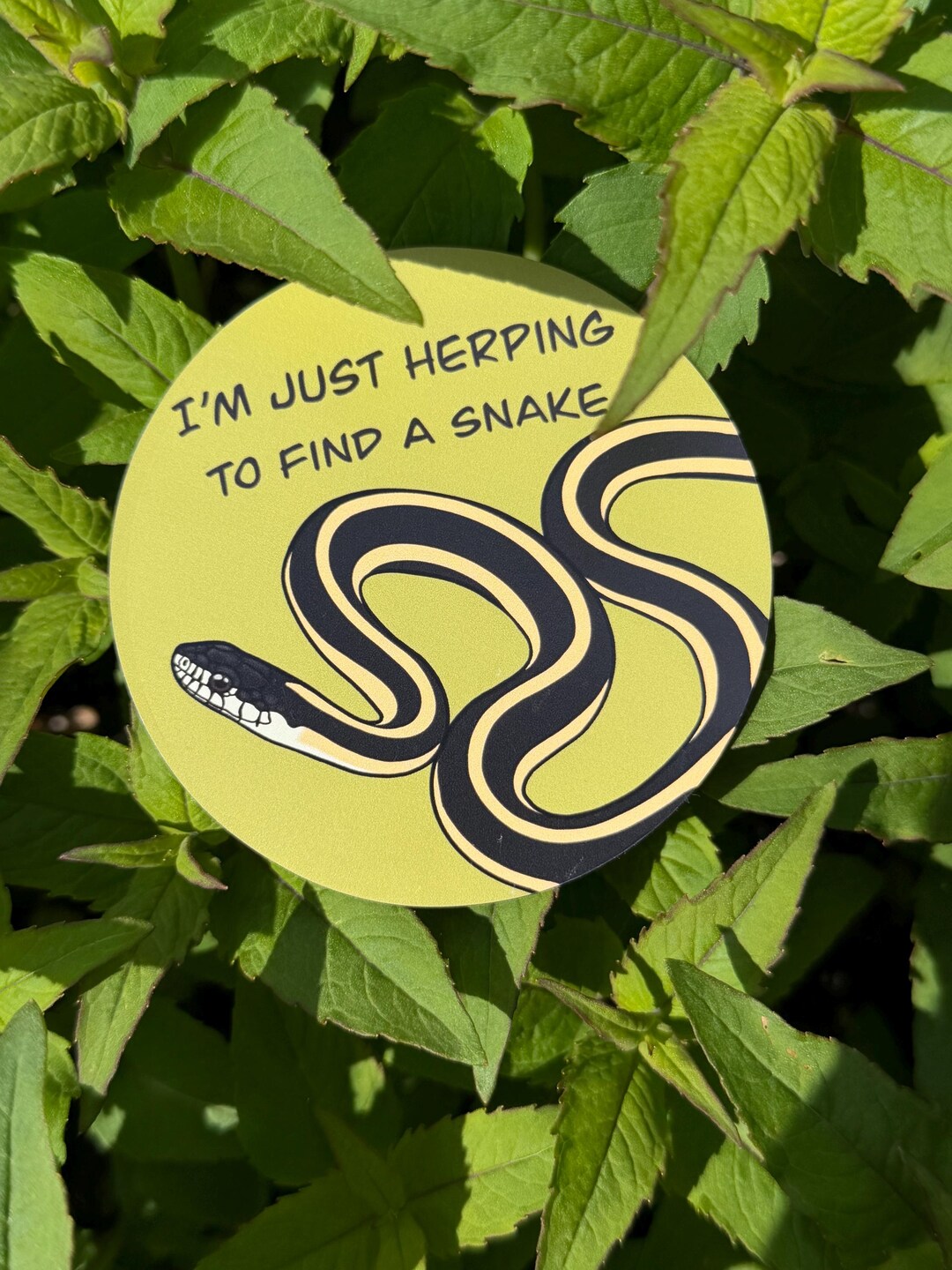 Garter Snake Magnet - “i’m Just Herping to Find a Snake”- Car/fridge ...