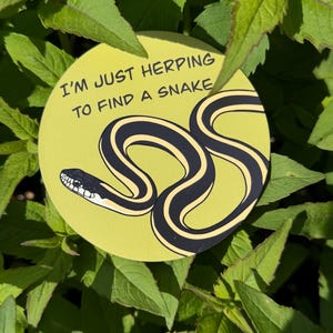Puede incluir: Una pegatina redonda de color verde claro con el texto "I'M JUST HERPING TO FIND A SNAKE" y una ilustración de serpiente negra y amarilla. La pegatina está rodeada de hojas verdes.