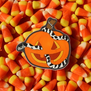 California king snake and pumpkin / jack o lantern vinyl sticker