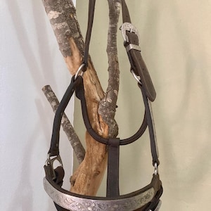 Vintage Leather Halter Full | Western Show Halter with Silver Accents | Dark Brown | Handmade | Large Horse | Adjustable