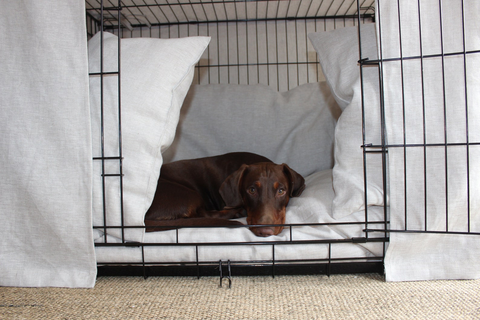 Image showcasing Dog Crate Covers and Sets cover, Bed & Bumper Made-to-measure, Custom ...