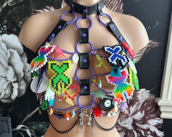 Peut inclure: Harnais noir et violet avec un collier ras du cou. Le harnais est orné de breloques en plastique colorées, notamment des dinosaures, des papillons et des arcs-en-ciel. Des chaînes et des breloques argentées pendent du bas.